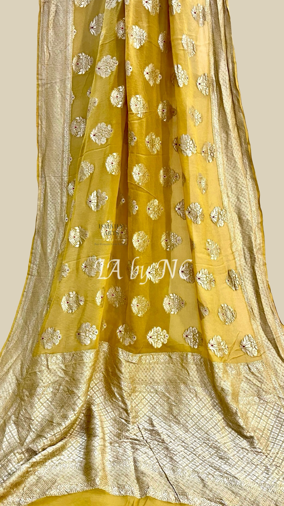 Trombone Banarasi Pure Khaddi Georgette Saree