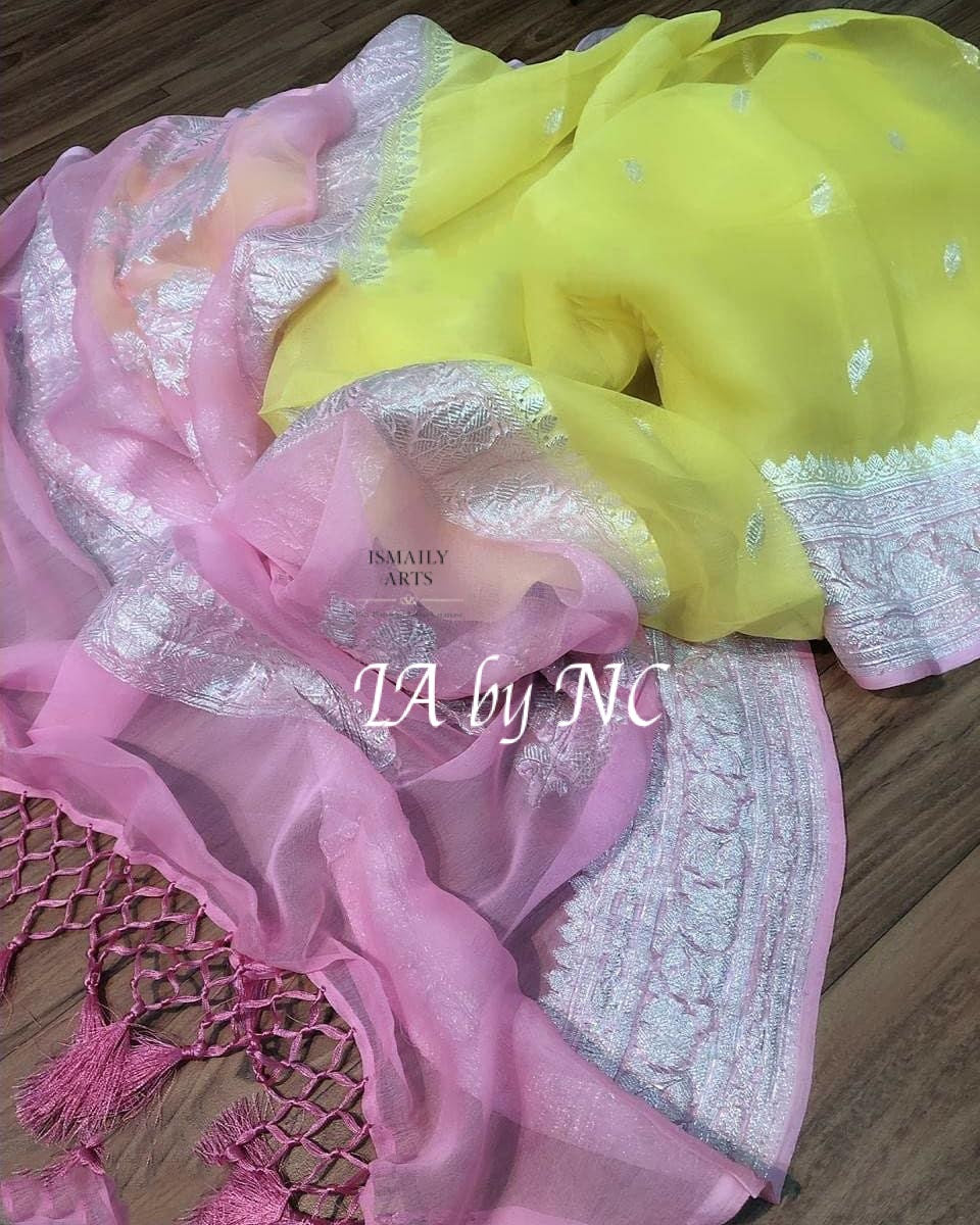 Pastel Banarasi Pure Khaddi Georgette Kadwa Saree