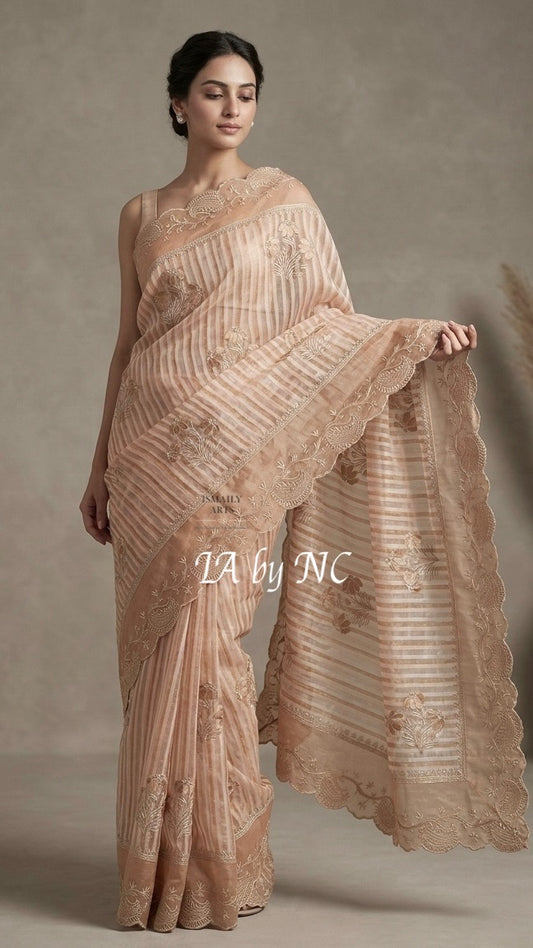 Baby Banarasi Pure Tissue Silk Designer Saree