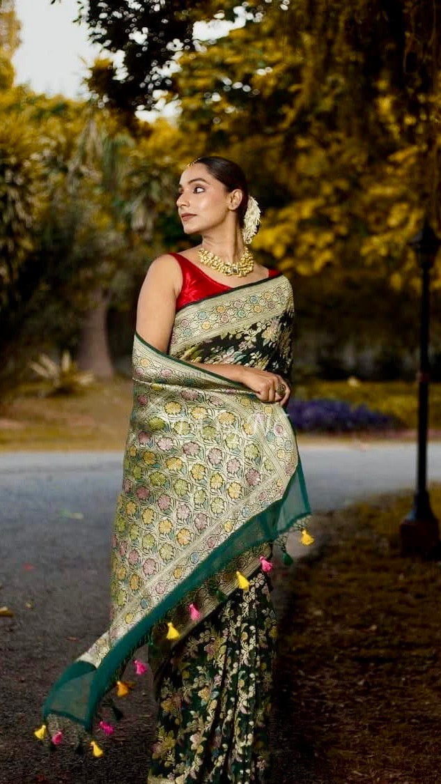 Sacramento Banarasi Pure Khaddi Georgette Saree