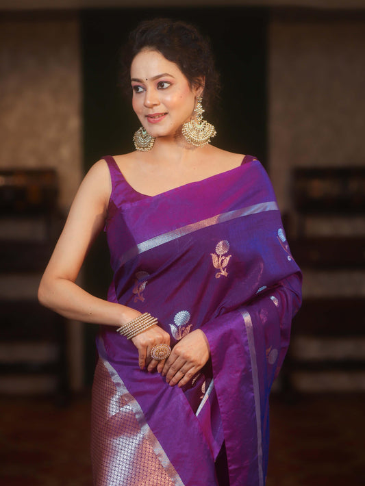 Banarasi Blend Mango Silk Saree