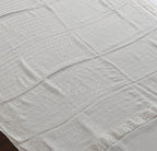 White Banarasi Pure Khaddi Georgette Dupatta