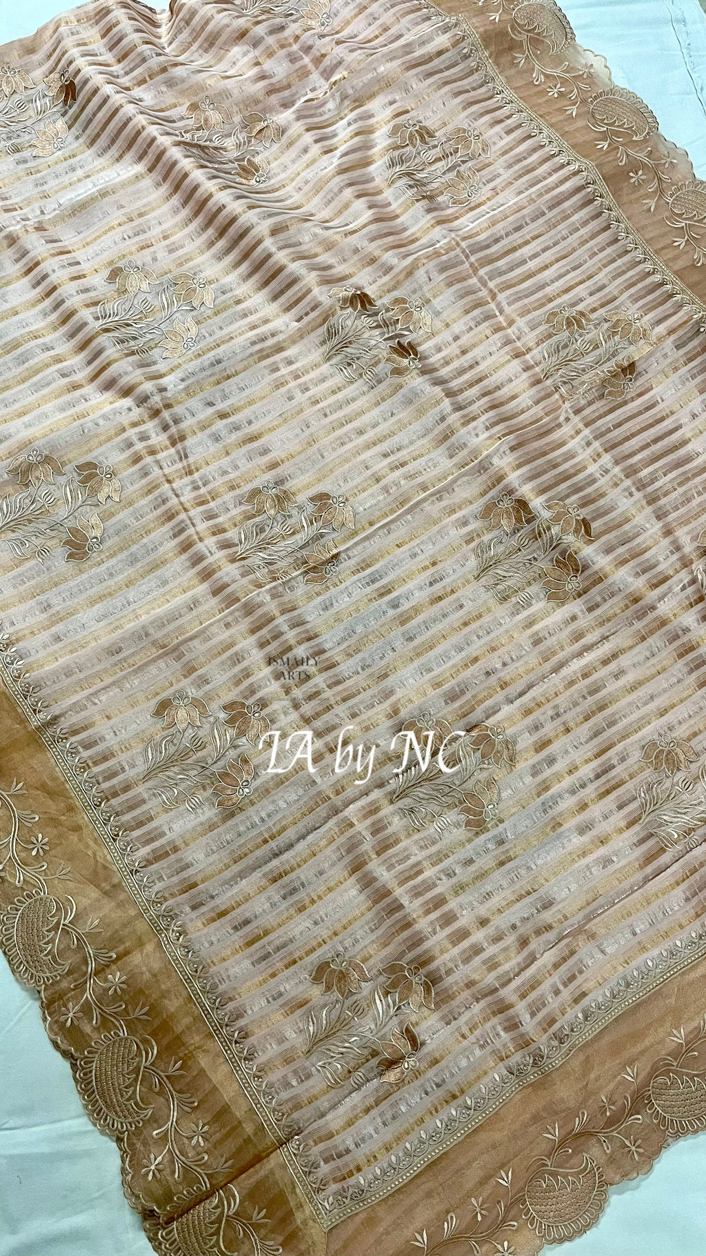 Baby Banarasi Pure Tissue Silk Designer Saree
