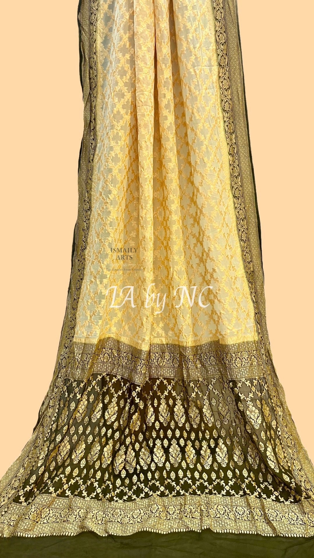 Beige Banarasi Pure Khaddi Georgette Saree