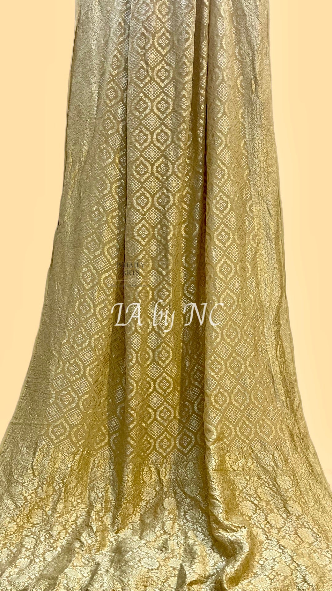 Beige Banarasi Pure Khaddi Georgette Saree