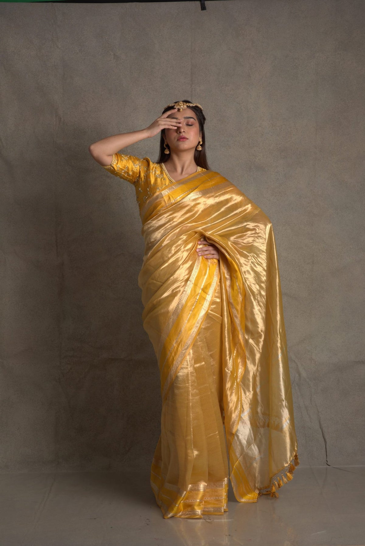 Tuscany Banarasi Pure Tissue Silk Saree - Double Katan Border