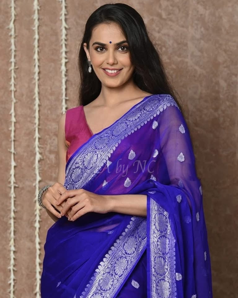 Navy Banarasi Pure Khaddi Georgette Kadwa Saree