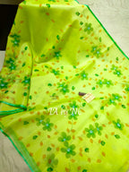 Pear Banarasi Pure Kora Organza Saree