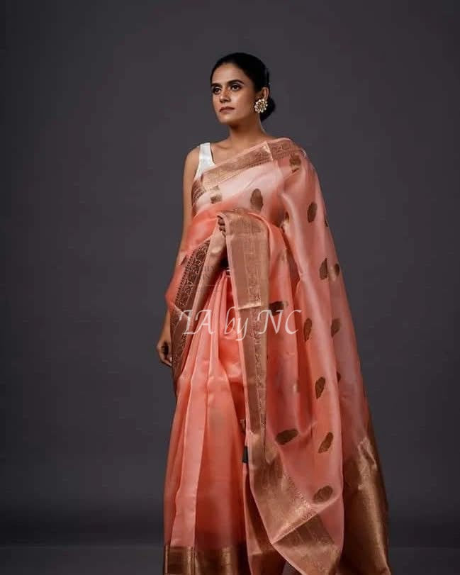 Peach Banarasi Pure Kora Silk Kadwa Saree