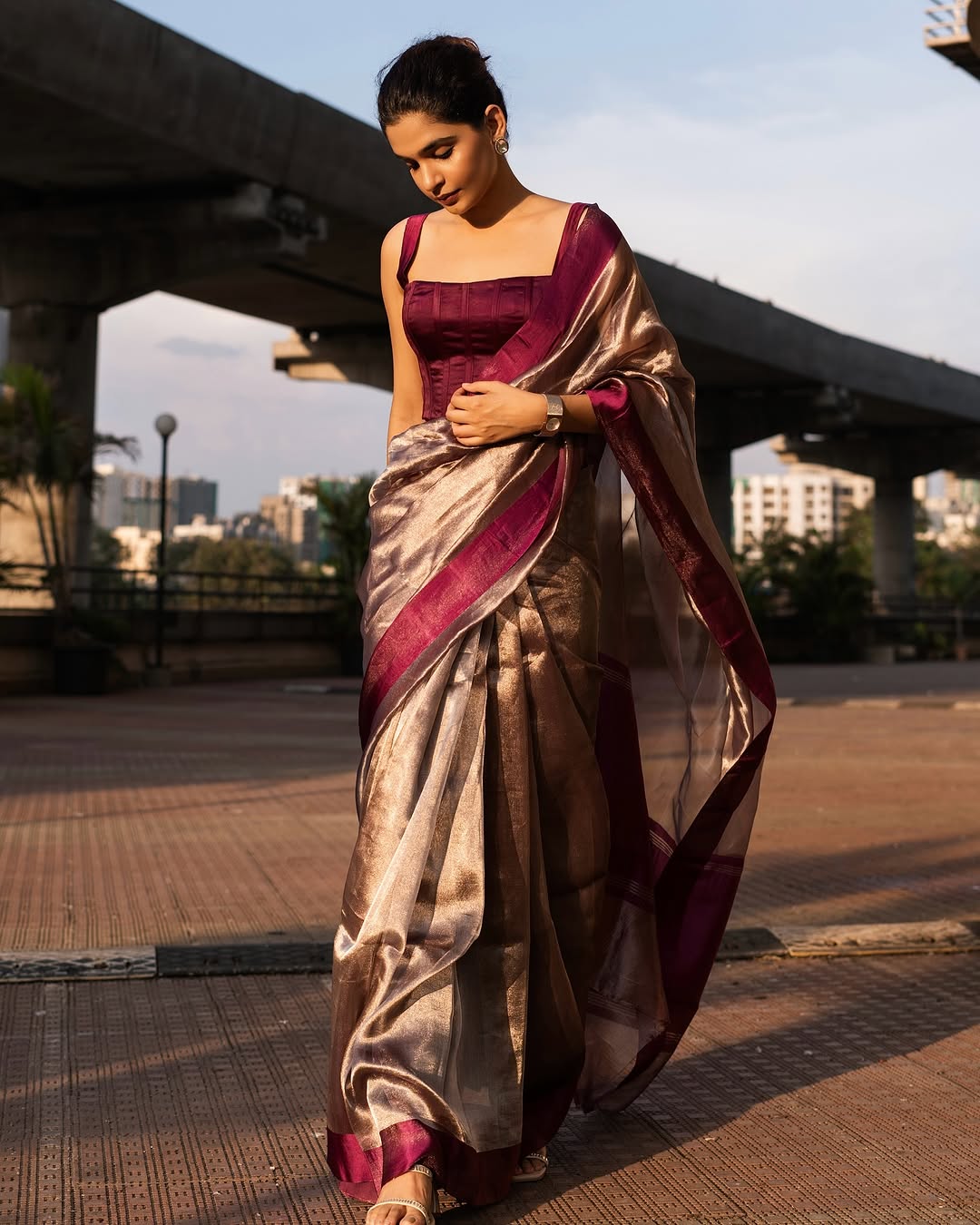 Barn Banarasi Pure Tissue Silk Saree - Satin Border