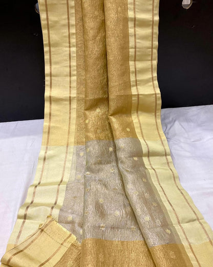 Banarasi Tissue Organza Saree