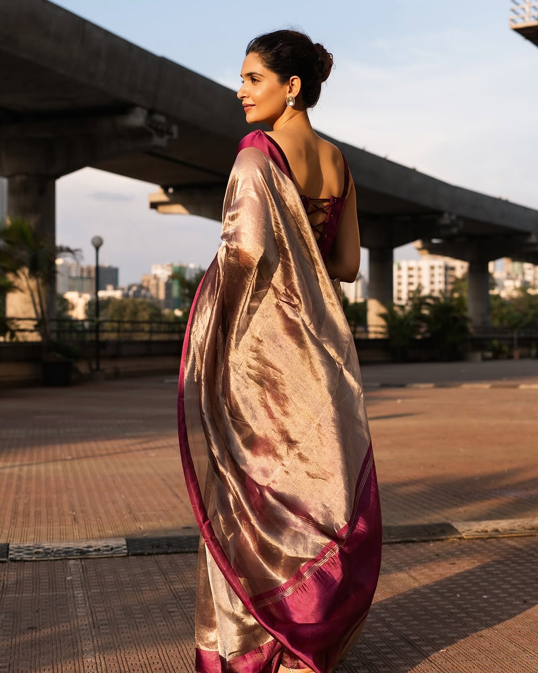 Barn Banarasi Pure Tissue Silk Saree - Satin Border