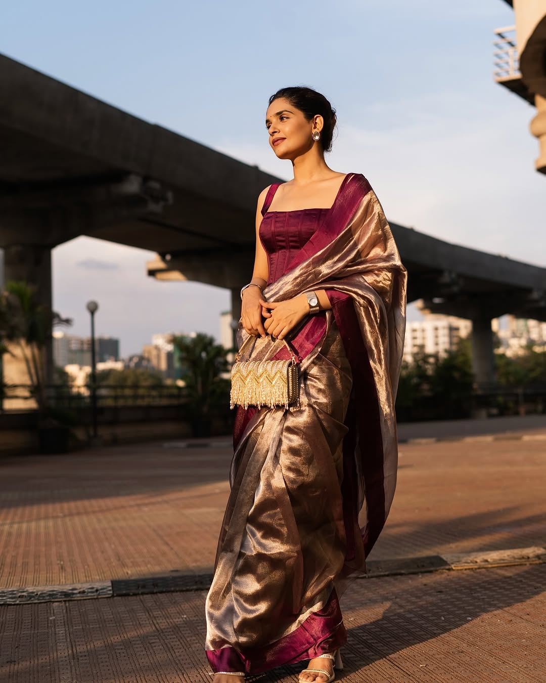 Barn Banarasi Pure Tissue Silk Saree - Satin Border