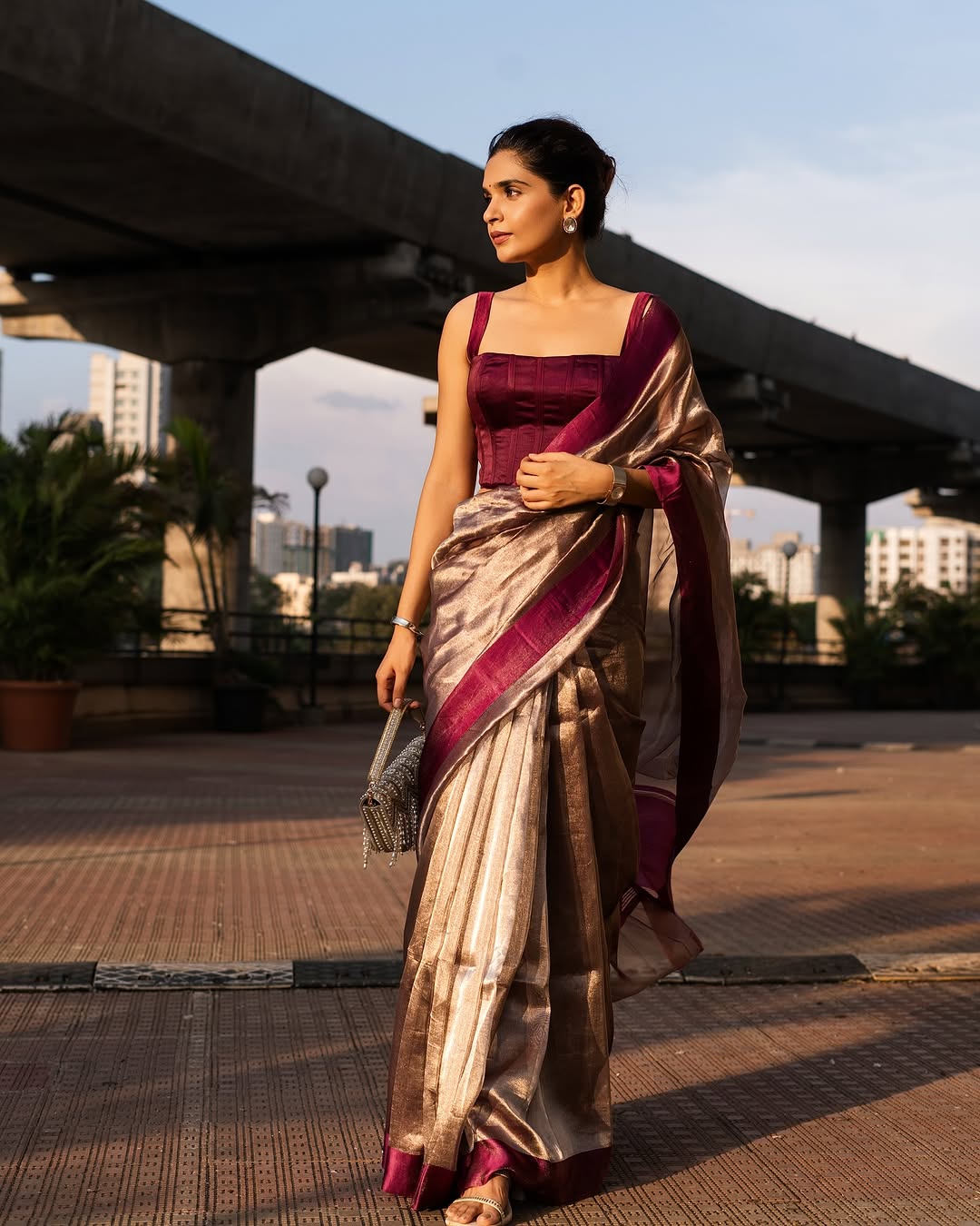 Barn Banarasi Pure Tissue Silk Saree - Satin Border