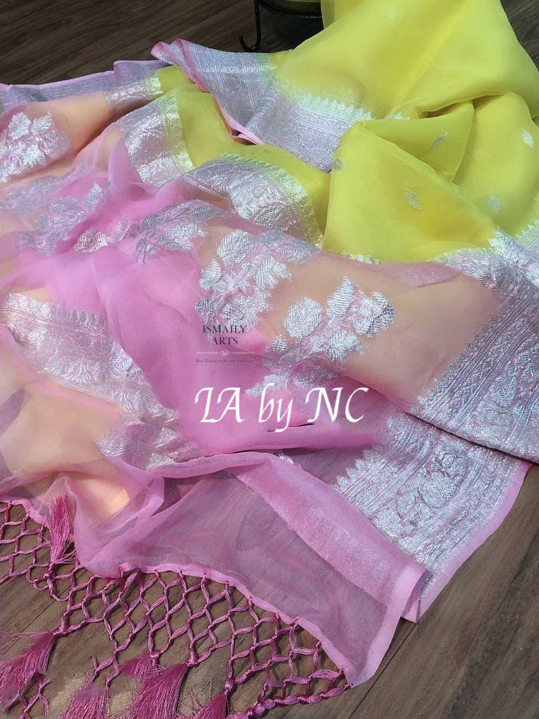 Pastel Banarasi Pure Khaddi Georgette Kadwa Saree