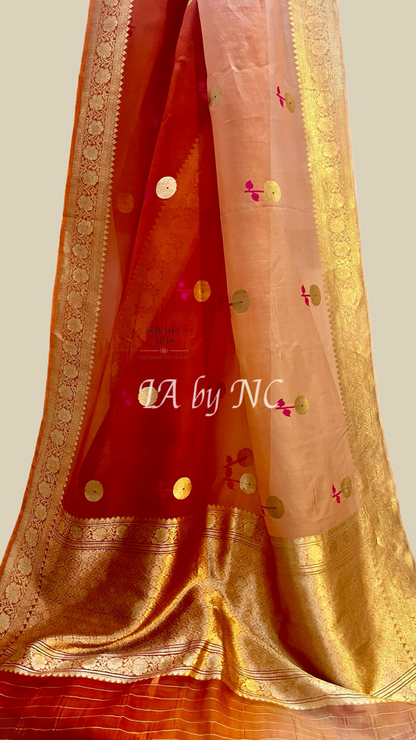 Tangerine Banarasi Pure Kora Organza Kadwa Saree