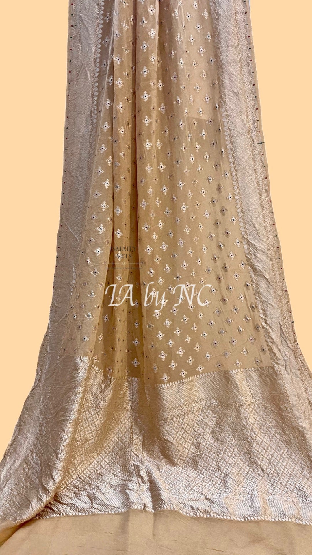 Beige Banarasi Pure Khaddi Georgette Saree