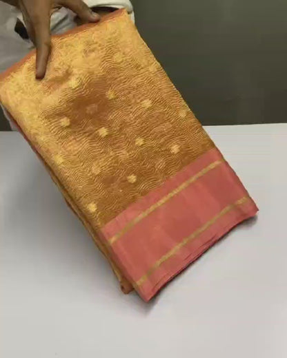 Banarasi Tissue Organza Saree