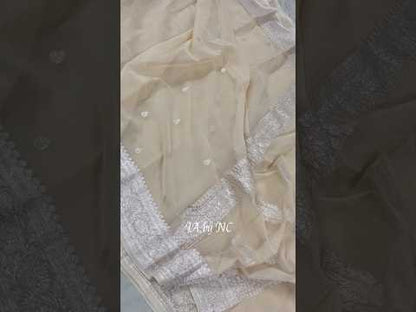 Beige Banarasi Pure Khaddi Georgette Kadwa Saree