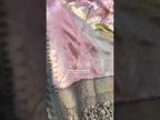 Black Banarasi Pure Khaddi Georgette Saree