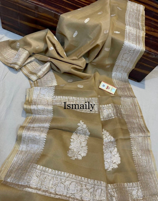 Beige Banarasi Pure Khaddi Georgette Kadwa Saree